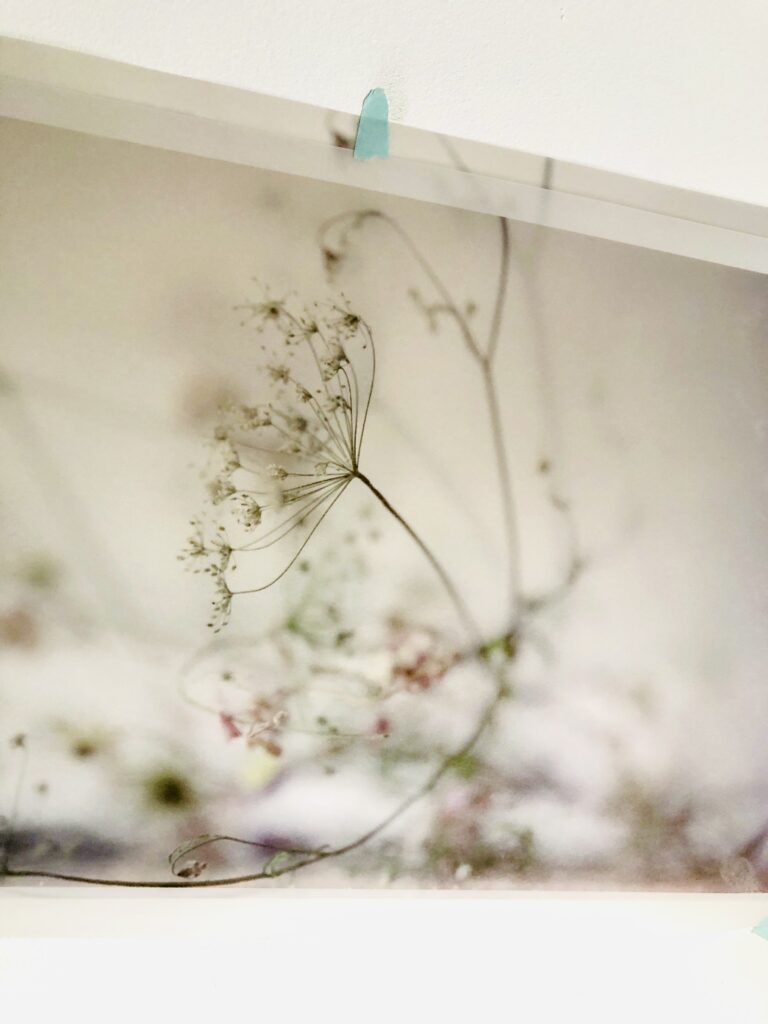 Plants_Layers_Artwork